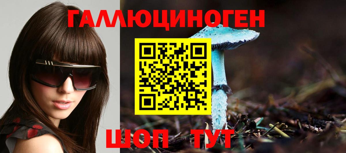 Галлюциногенные грибы GOLDEN TEACHER Владивосток