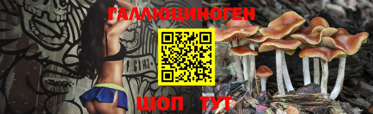 Владивосток  купить наркотики цена  Вход с VPN  Галлюциногенные грибы Psilocybe 